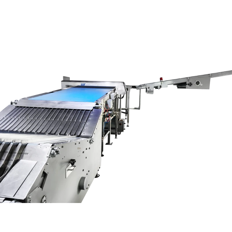 Curve Conveyor