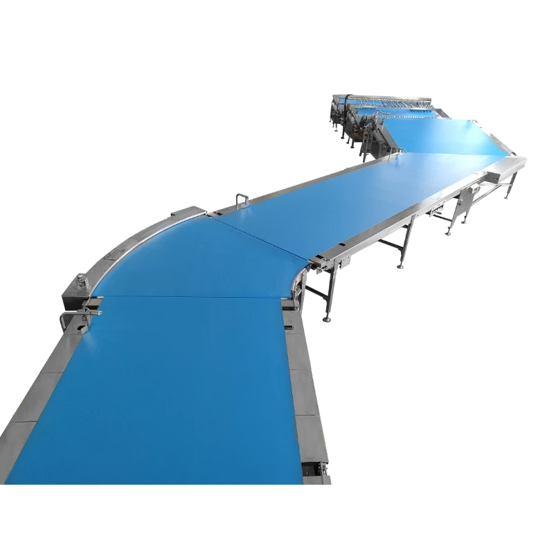 Curve Conveyor